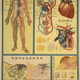 Illustration for article titled Retro Educational Posters Reimagine The Human Body As A Factory